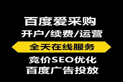 专业sem托管服务案例，揭秘广告投放优化策略